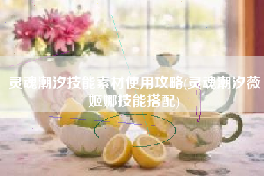 灵魂潮汐技能素材使用攻略(灵魂潮汐薇姬娜技能搭配)