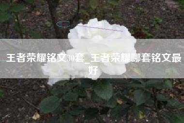 王者荣耀铭文30套_王者荣耀哪套铭文最好