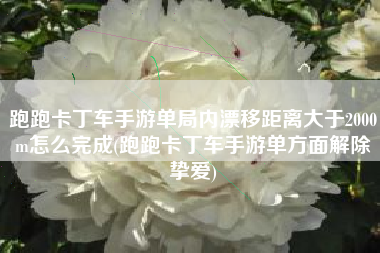跑跑卡丁车手游单局内漂移距离大于2000m怎么完成(跑跑卡丁车手游单方面解除挚爱)