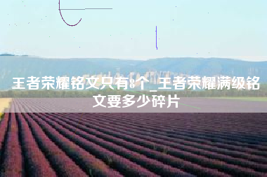 王者荣耀铭文只有8个_王者荣耀满级铭文要多少碎片