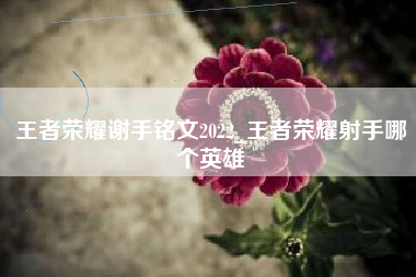 王者荣耀谢手铭文2022_王者荣耀射手哪个英雄