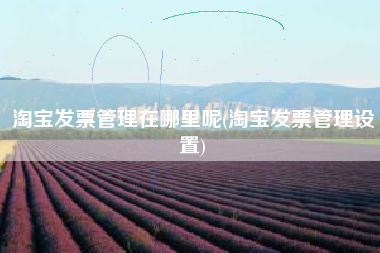 淘宝发票管理在哪里呢(淘宝发票管理设置)