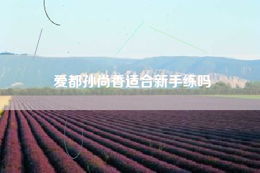 爱都孙尚香适合新手练吗