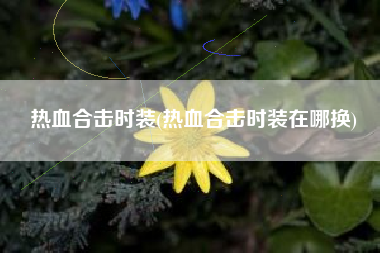 热血合击时装(热血合击时装在哪换)