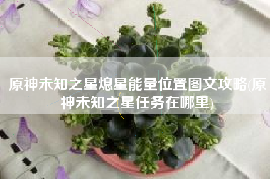 原神未知之星熄星能量位置图文攻略(原神未知之星任务在哪里)