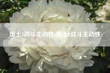 废土3战斗主动性(废土2战斗主动性)