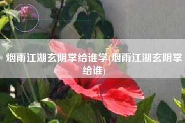 烟雨江湖玄阴掌给谁学(烟雨江湖玄阴掌给谁)