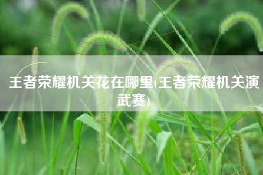王者荣耀机关花在哪里(王者荣耀机关演武赛)