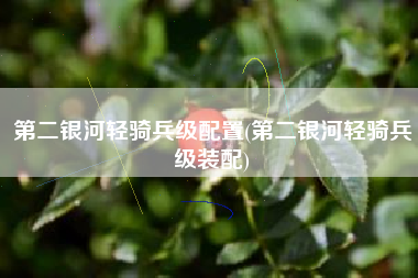 第二银河轻骑兵级配置(第二银河轻骑兵级装配)