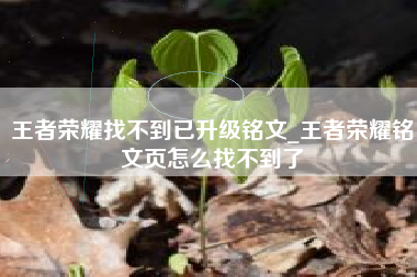 王者荣耀找不到已升级铭文_王者荣耀铭文页怎么找不到了