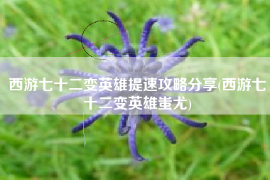西游七十二变英雄提速攻略分享(西游七十二变英雄蚩尤)