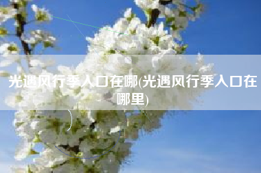 光遇风行季入口在哪(光遇风行季入口在哪里)