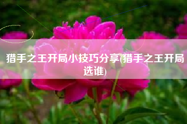 猎手之王开局小技巧分享(猎手之王开局选谁)