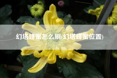幻塔蜂蜜怎么刷(幻塔蜂蜜位置)