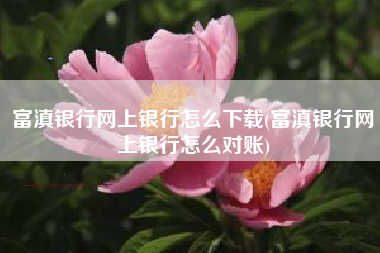 富滇银行网上银行怎么下载(富滇银行网上银行怎么对账)