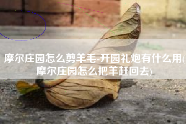 摩尔庄园怎么剪羊毛-开园礼炮有什么用(摩尔庄园怎么把羊赶回去)
