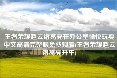 王者荣耀赵云诸葛亮在办公室愉快玩耍中文高清完整版免费观看(王者荣耀赵云诸葛亮开车)