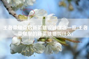 王者荣耀桑启新英雄设计理念一览(王者荣耀里的新英雄猫叫什么)