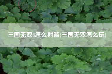 三国无双8怎么射箭(三国无双怎么玩)