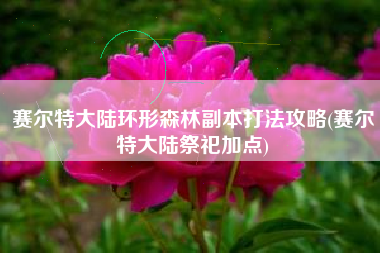 赛尔特大陆环形森林副本打法攻略(赛尔特大陆祭祀加点)