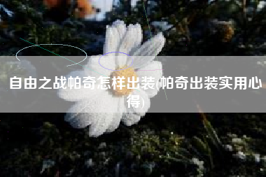 自由之战帕奇怎样出装(帕奇出装实用心得)