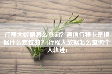 行程大数据怎么查询？通信行程卡是根据什么定位的？(行程大数据怎么查询个人轨迹)