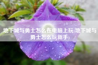 地下城与勇士怎么在电脑上玩(地下城与勇士怎么玩新手)