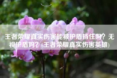 王者荣耀真实伤害能被护盾挡住吗？无视护盾吗？(王者荣耀真实伤害英雄)