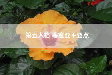 第五人格 寒意要不要点