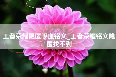 王者荣耀隐匿吸血铭文_王者荣耀铭文隐匿找不到