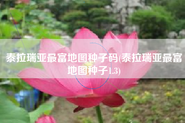 泰拉瑞亚最富地图种子码(泰拉瑞亚最富地图种子1.3)