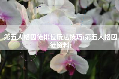第五人格囚徒排位玩法技巧(第五人格囚徒资料)