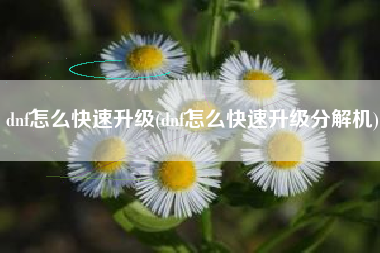 dnf怎么快速升级(dnf怎么快速升级分解机)