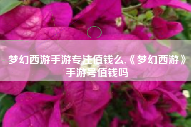 梦幻西游手游专注值钱么,《梦幻西游》手游号值钱吗