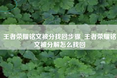 王者荣耀铭文被分找回步骤_王者荣耀铭文被分解怎么找回