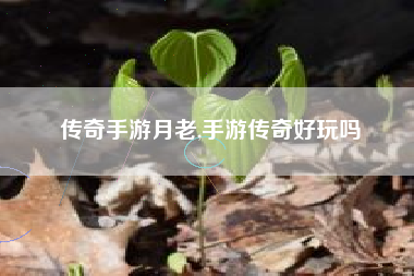 传奇手游月老,手游传奇好玩吗