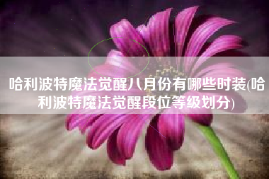 哈利波特魔法觉醒八月份有哪些时装(哈利波特魔法觉醒段位等级划分)