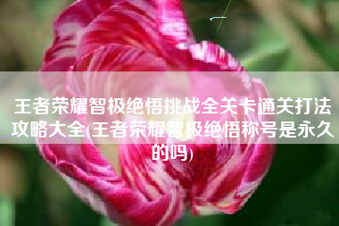王者荣耀智极绝悟挑战全关卡通关打法攻略大全(王者荣耀智极绝悟称号是永久的吗)