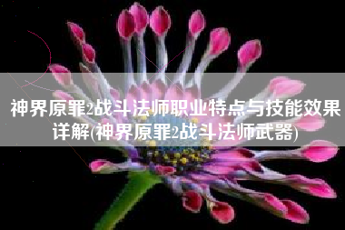 神界原罪2战斗法师职业特点与技能效果详解(神界原罪2战斗法师武器)