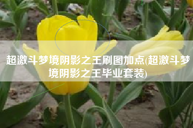 超激斗梦境阴影之王刷图加点(超激斗梦境阴影之王毕业套装)