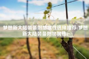 梦想新大陆装备附加属性选择推荐(梦想新大陆装备附加属性)