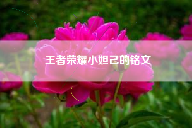 王者荣耀小妲己的铭文