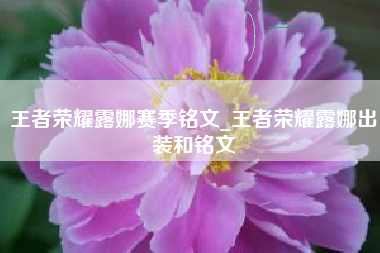 王者荣耀露娜赛季铭文_王者荣耀露娜出装和铭文