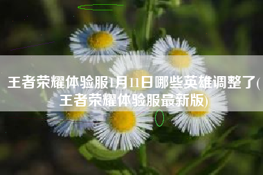 王者荣耀体验服1月11日哪些英雄调整了(王者荣耀体验服最新版)