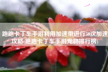 跑跑卡丁车手游利用加速带进行50次加速攻略(跑跑卡丁车手游宠物排行榜)