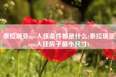 泰拉瑞亚npc入住条件都是什么(泰拉瑞亚npc入住房子最小尺寸)