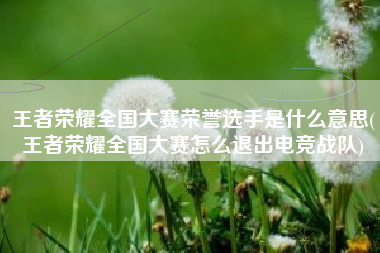 王者荣耀全国大赛荣誉选手是什么意思(王者荣耀全国大赛怎么退出电竞战队)