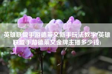 英雄联盟手游德莱文新手玩法教学(英雄联盟手游德莱文金牌主播多少钱)