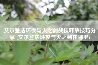 艾尔登法环夜与火之剑战技释放技巧分享 (艾尔登法环夜与火之剑在哪里)