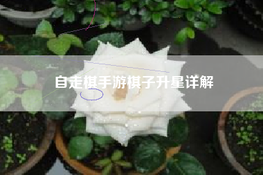 自走棋手游棋子升星详解